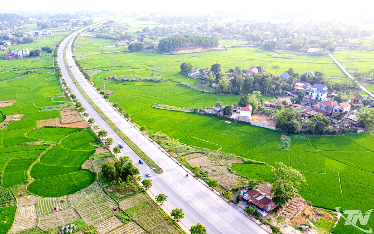 Đề nghị các tỉnh, thành phố rà soát hiện trạng và đề xuất mục tiêu, nhiệm vụ thực hiện Chương...